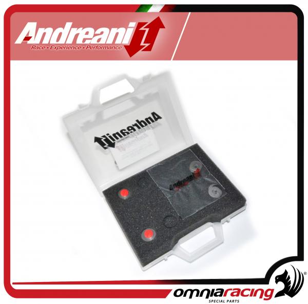 Kit modifica forcella Andreani per Forcella Kawasaki ZX6R 2009>2012