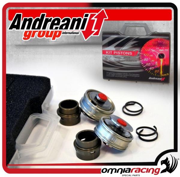 Andreani transformation for interchangeable spring Kawasaki ZX-10R Ninja 2016 16>