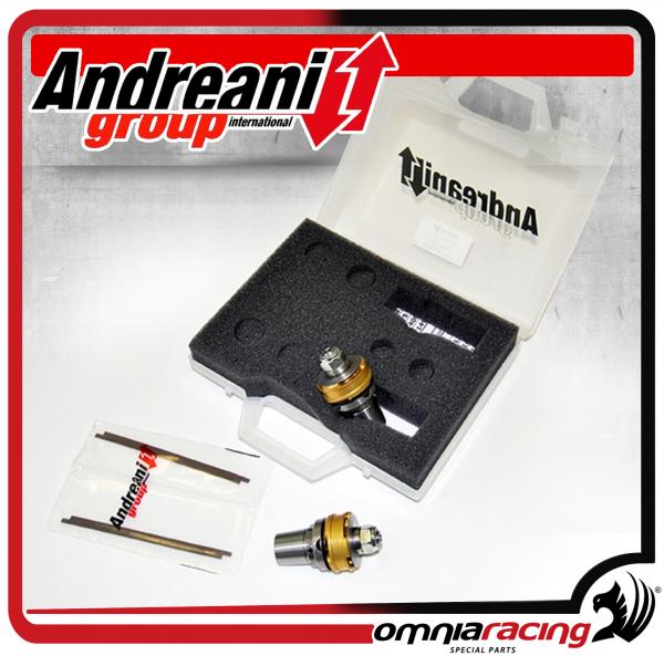 Andreani Fork Pistons Kit with Poppet Valve for Husqvarna Nuda 900 R 2012