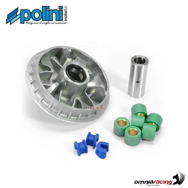 Polini full kit variator supplied for Kymco B&W 250/ Grandink 250 /People 250/Xciting 250/YUP 250